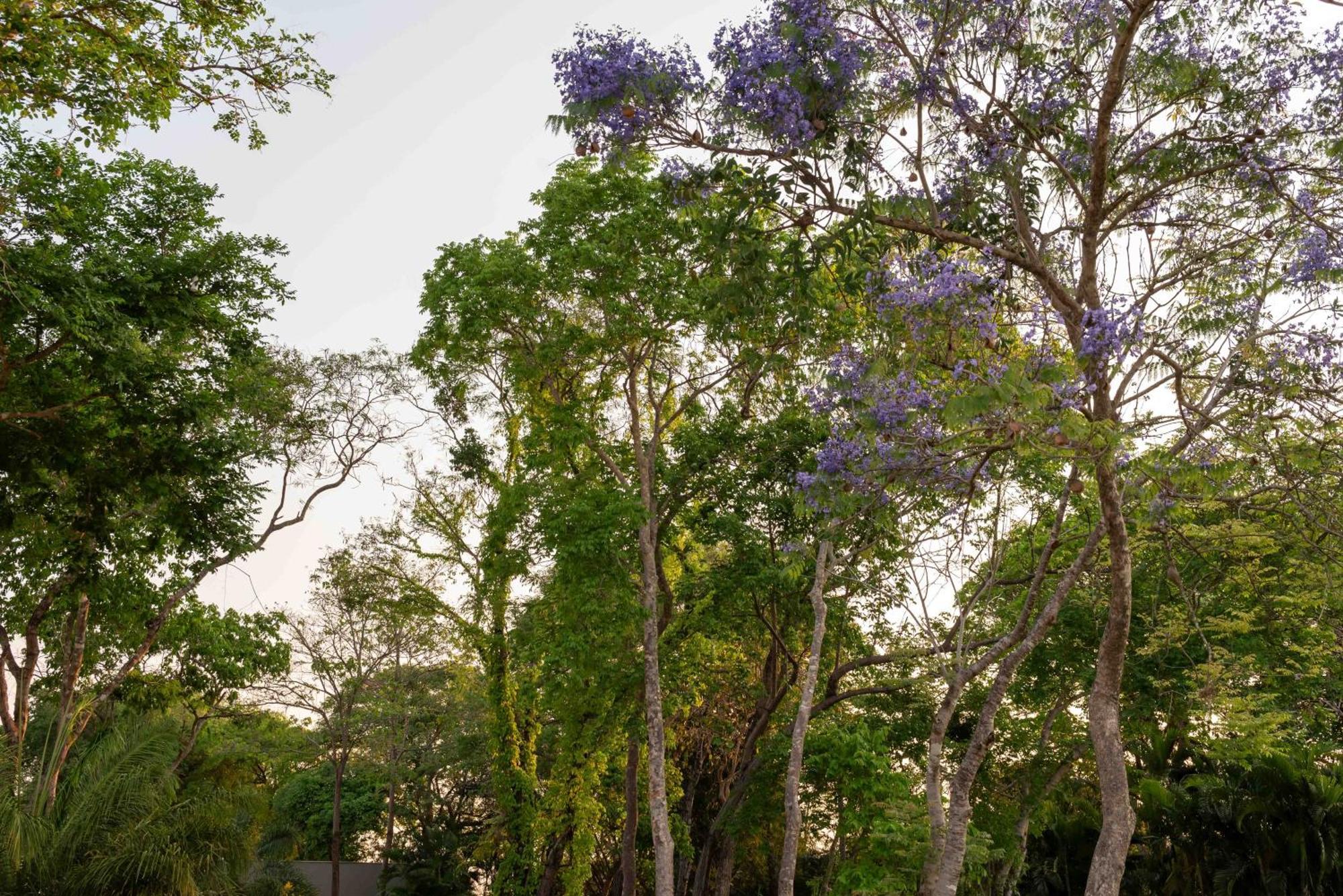 Spa Agua Milagrosa Cuiabá Eksteriør billede